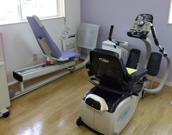 ���n�r�����i�ʐ^